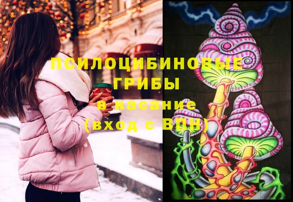 марки lsd Гусиноозёрск