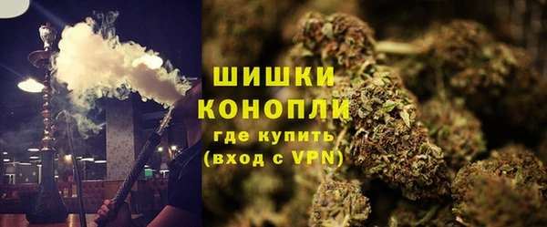 ECSTASY Гусев