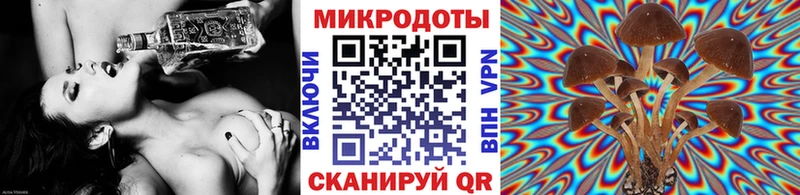 Галлюциногенные грибы Psilocybe  Донецк 